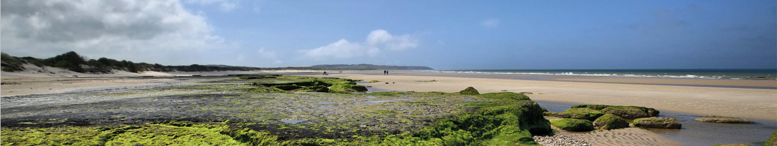 Banner Nord/Pas de Calais/Picardië - Frankrijk
